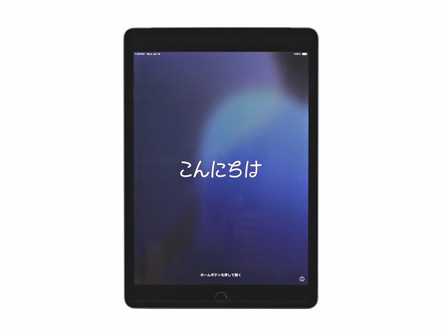 APPLE IPAD 9TH WI-FI+CELLULAR 64GB MK473J/A