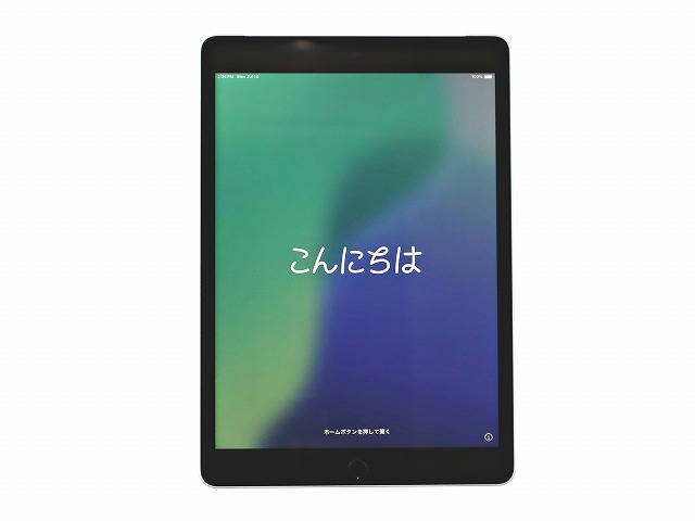 APPLE IPAD 9TH WI-FI+CELLULAR 64GB MK493J/A
