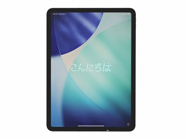 APPLE IPAD PRO WIFI+CELLULAR [第3世代] MHW73J/A