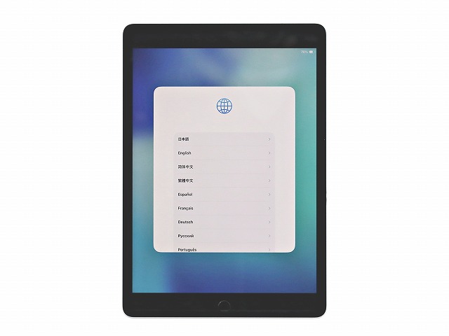 APPLE IPAD WI-FI+CELLULAR 256GB [第9世代] MK4H3J/A